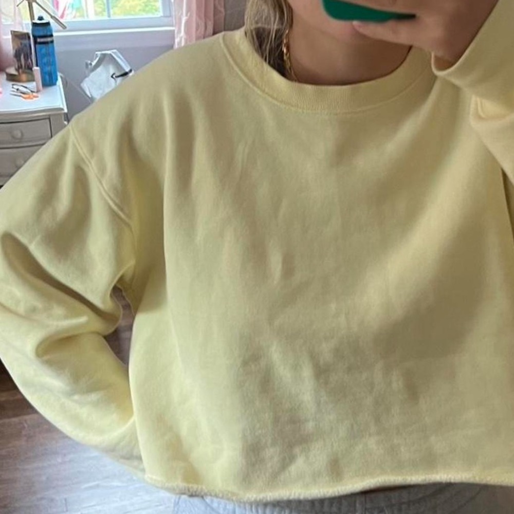 Aritzia cropped sweater